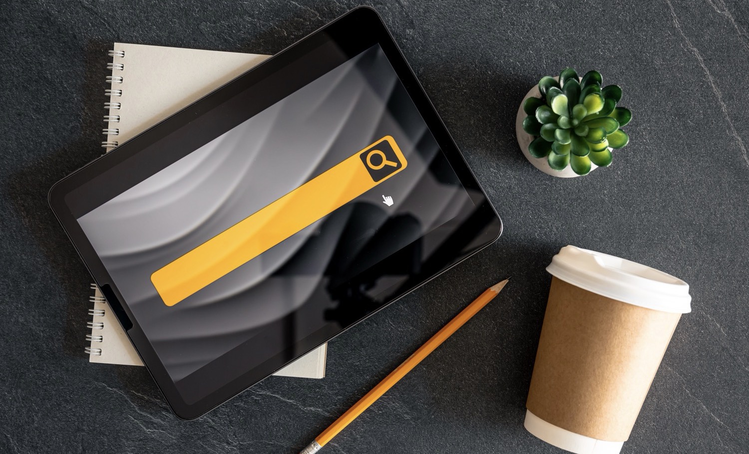 immagine segnaposto sq