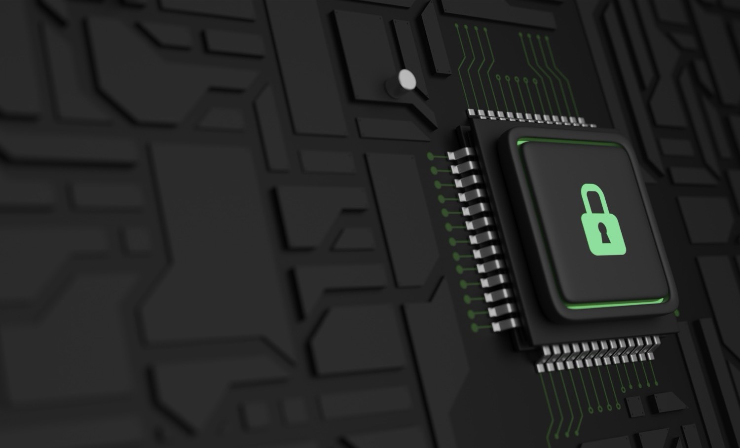 immagine segnaposto sq